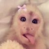 ellynnnaa_