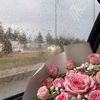 fatima_jobran