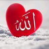 allahisgreat336