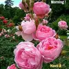 khaty3155