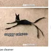 quail_n_cinnamon_fuzzy