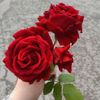 الـكـادي🌺