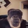 muhannad404_