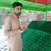 fiazbalochbaloch