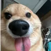pupu.thn.thi3n
