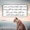 k.comuserpqtv618ilb