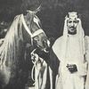ابن نغيمش