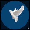 Nadi Merpati