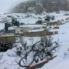 davede.1
