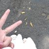 nolprsnn