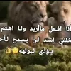 بصراويه،🌹