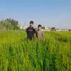 dymelcby9jlt