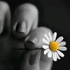 godyahmed8137
