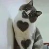 emocionado62