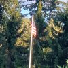 patriot729