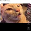 onegatsi1