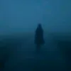 jd_nl3