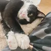 daveangel17