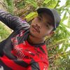 som8687743n