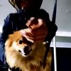 user_unknown3735