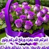 amal_ahmed231