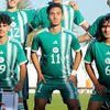 hamoudi_11_