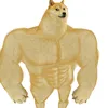 doktor_insulina
