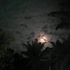 masz_iky