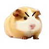 cuysote_p