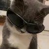 jen_guodaroti