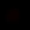 biteo54379