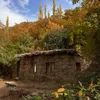 zagros_palo