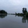 munasib006iijju