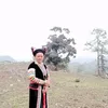 mynamesis65