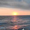 summerseaman