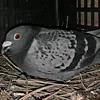 www0770799