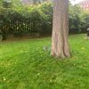 lovelaug00091
