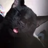 mim_catolica1