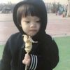 owneltiktok