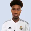 arrianeletom