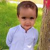 allhayaar78