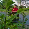 kempokhewes