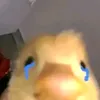 mamnaydeptrai11
