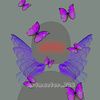 artmaster_726