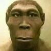 musa.hey