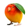 mangophonk09