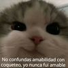 tusolitariochero