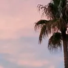 maria_costanza