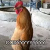 bizgoud
