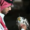 gghhgg67678